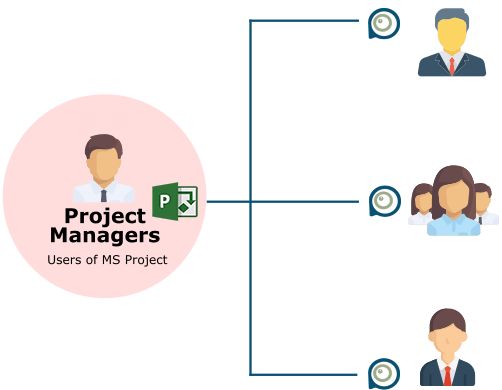 microsoft project viewer in the company